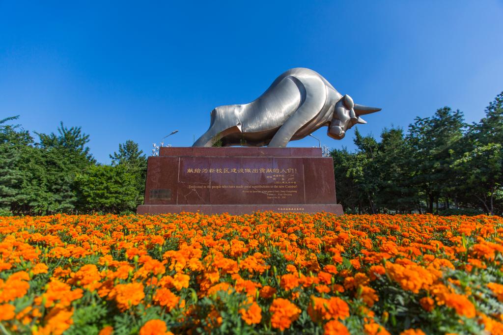 寻同行者-黑龙江科技大学招聘道桥类博士